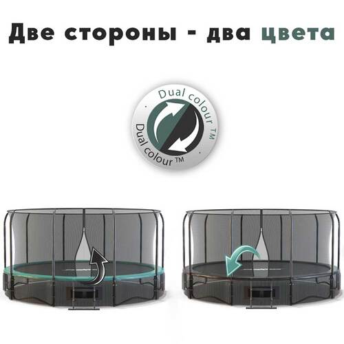  PROXIMA Premium Dual 15 , CFR-15F-5W  1 (,  PROXIMA Premium Dual 15  -   /)