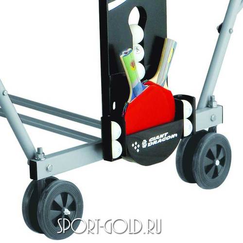   Giant Dragon Sunny 700  1 (,  1)