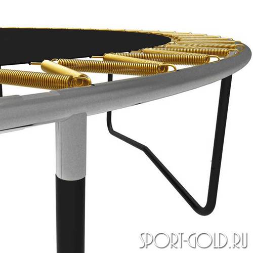  BERG Champion Tattoo 14ft (430 )     6 (,  6)