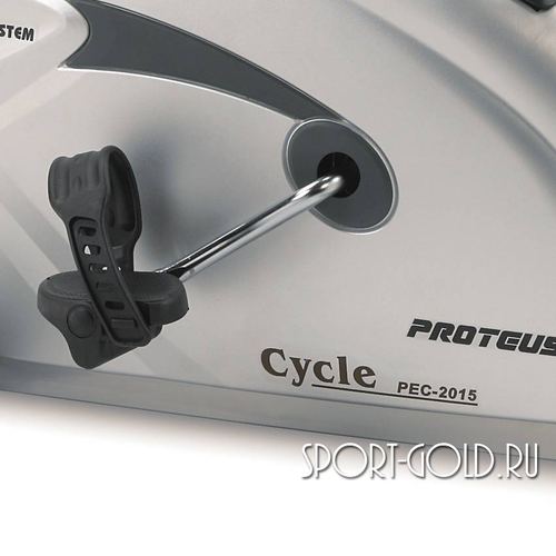  Proteus PEC-2015  2