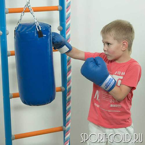 Аксессуар для ДСК ROMANA Перчатки боксерские детские Фото 1 (фото, вид 1)