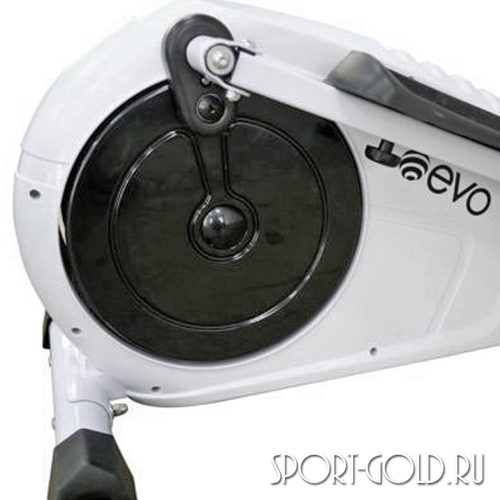   EVO Fitness Shark EL  2 (,  2)