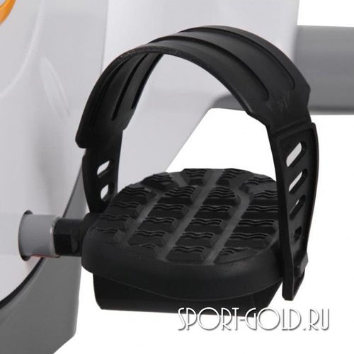  Dender Alvine B-801  2 (,  2)