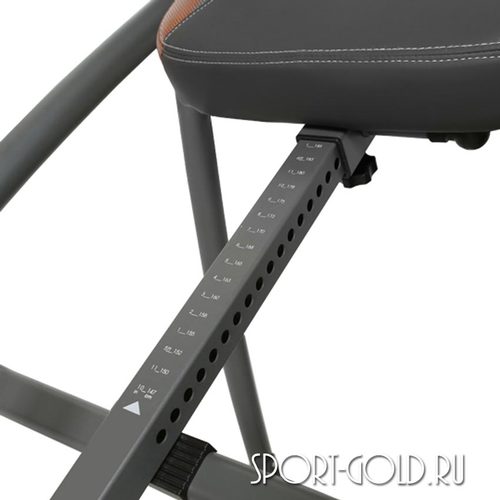   Oxygen Healthy Spine Deluxe  4 (,  4)