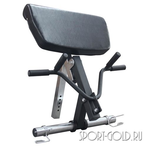 DFC PowerGym Option 2 -     1 (,  1)