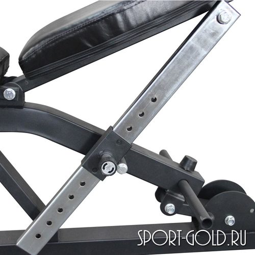   DFC PowerGym BN030 -     2 (,  2)