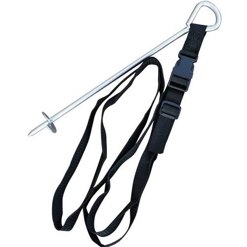  DFC Anchor-BG      1