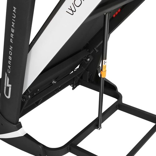   Carbon Premium World Runner T1  2 (,  2)
