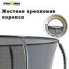  PROXIMA Premium Dual 8  -   