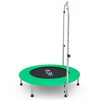  DFC Pleny 36 Green   -  ( )
