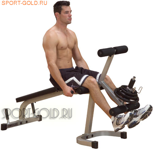  Body Solid GLCE365