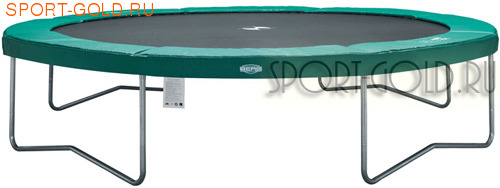  BERG Champion 11ft (330 )