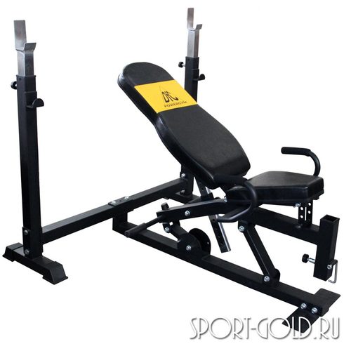   DFC PowerGym BN014   ()
