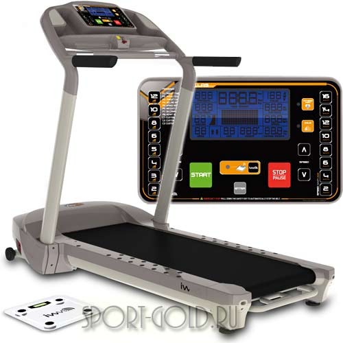   EuroFit Dallas IWM