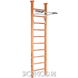    PERFETTO SPORT Salute PS-101