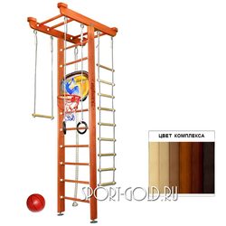    Kampfer Big Sport Ceiling Basketball Shield