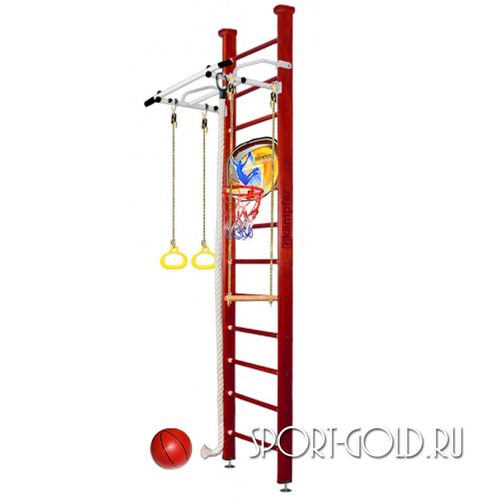    Kampfer Helena Ceiling Basketball Shield 3.0 , 