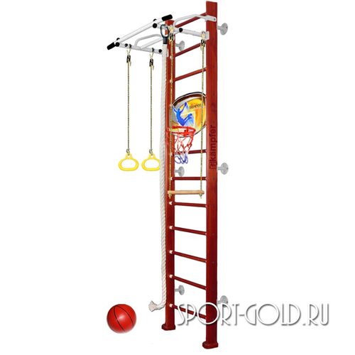    Kampfer Helena Wall Basketball Shield 3.0 ,  ()